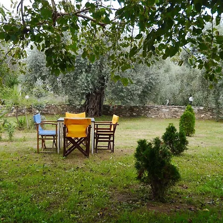 Blue Sky Villas Skala Potamia  Exterior photo